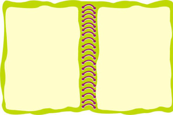 梦见夫妻吵架是什么意思_梦见夫妻