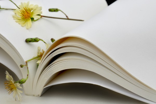 【梦见妻子出轨预示什么】梦见妻子