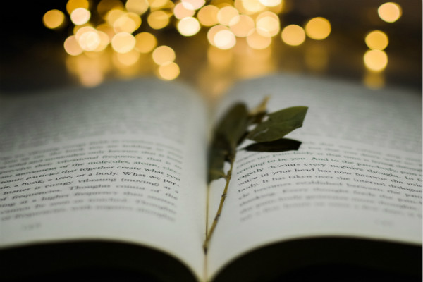 【梦见离弃的老婆欲哭无声】梦见离弃 【梦见离弃的老婆欲哭无声】梦见离弃